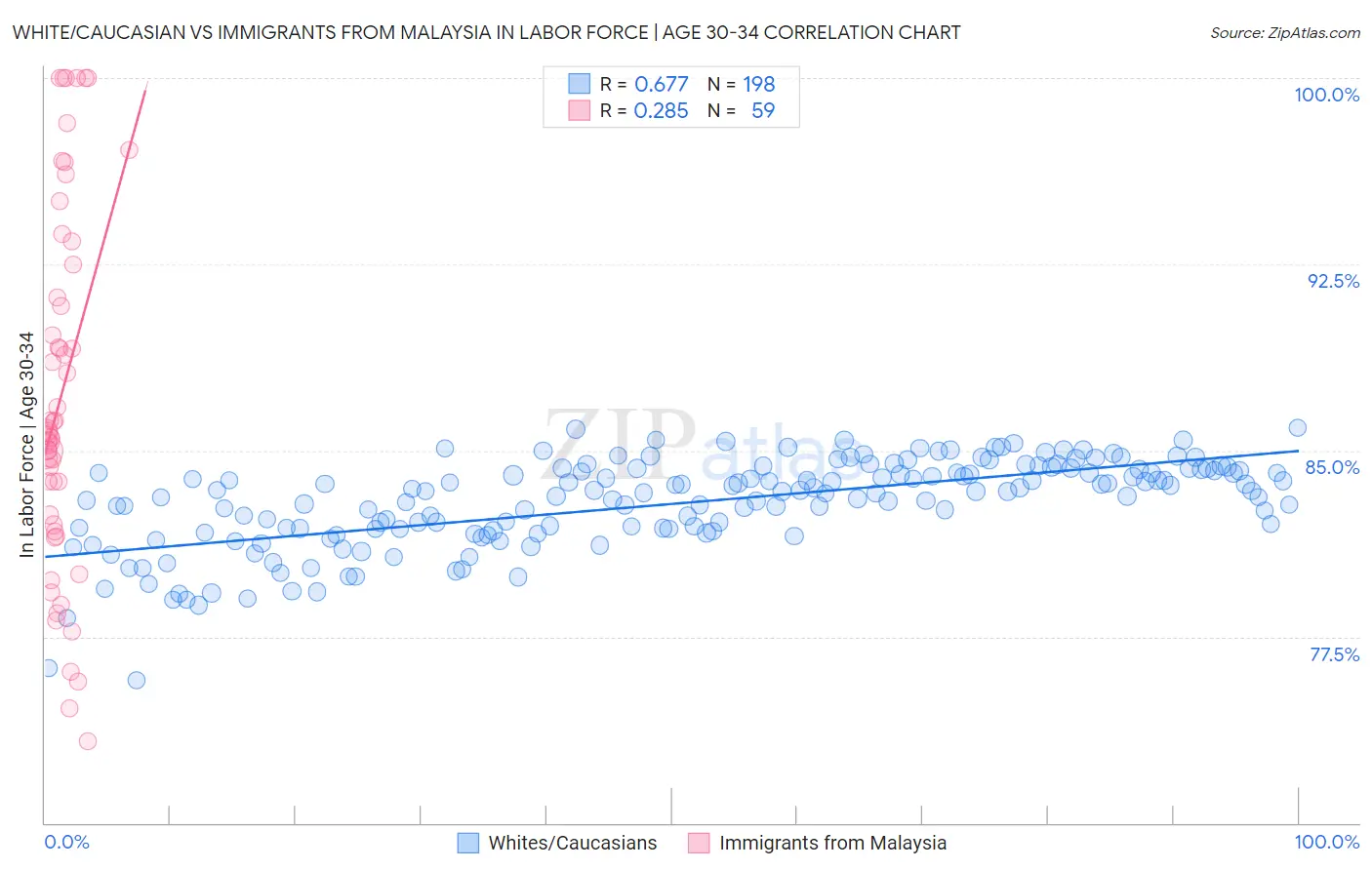 White/Caucasian vs Immigrants from Malaysia In Labor Force | Age 30-34
