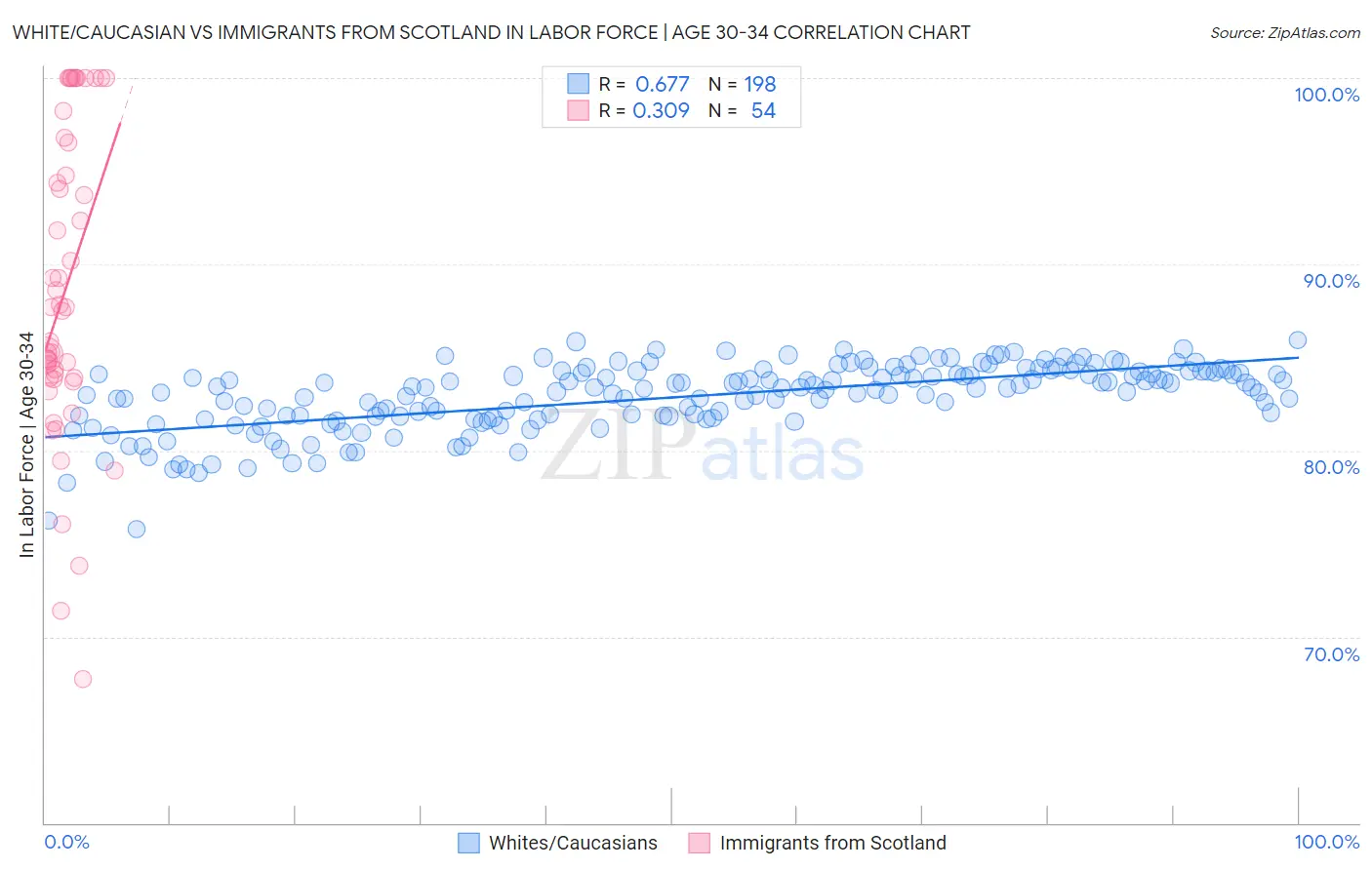 White/Caucasian vs Immigrants from Scotland In Labor Force | Age 30-34