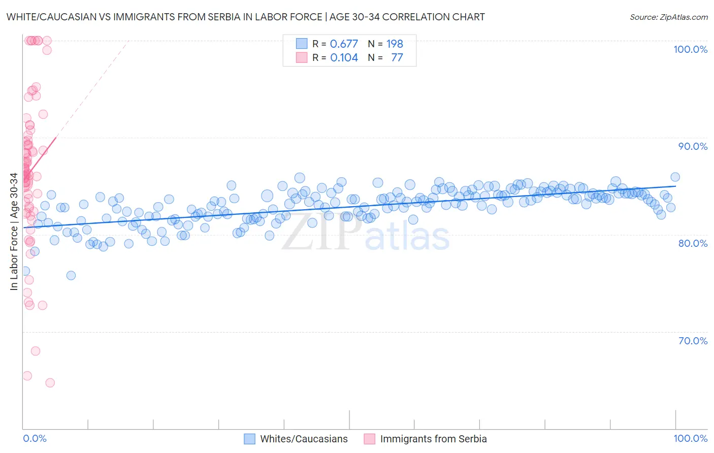 White/Caucasian vs Immigrants from Serbia In Labor Force | Age 30-34
