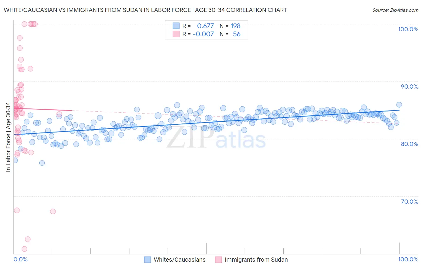 White/Caucasian vs Immigrants from Sudan In Labor Force | Age 30-34