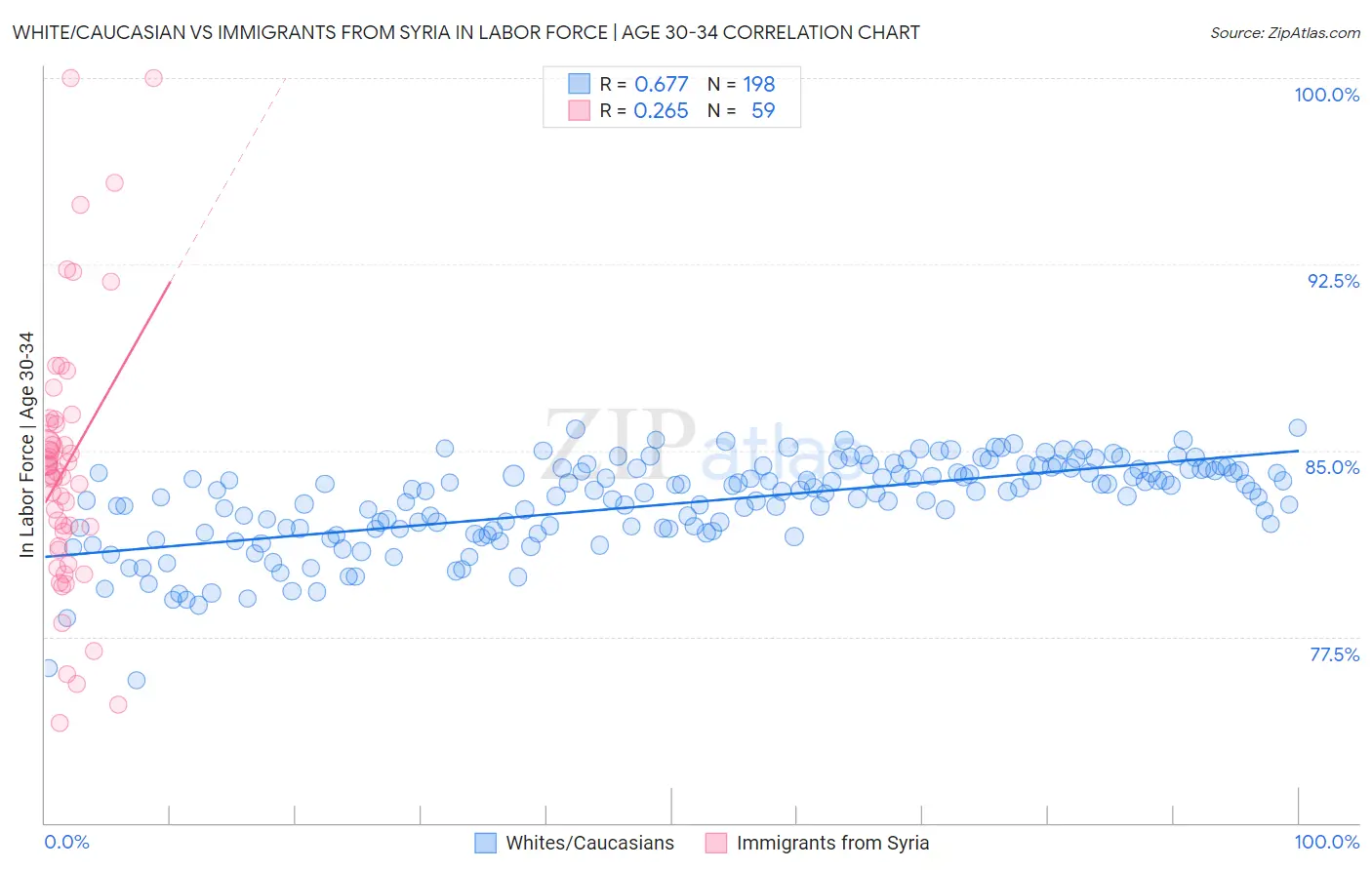 White/Caucasian vs Immigrants from Syria In Labor Force | Age 30-34