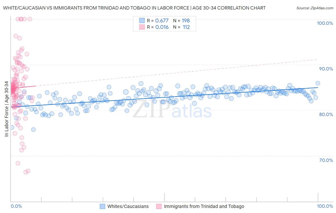 White/Caucasian vs Immigrants from Trinidad and Tobago In Labor Force | Age 30-34
