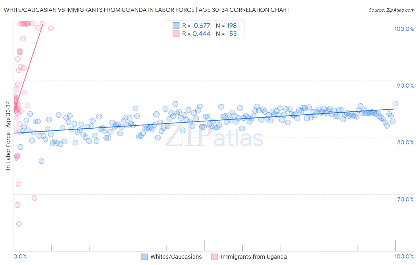 White/Caucasian vs Immigrants from Uganda In Labor Force | Age 30-34