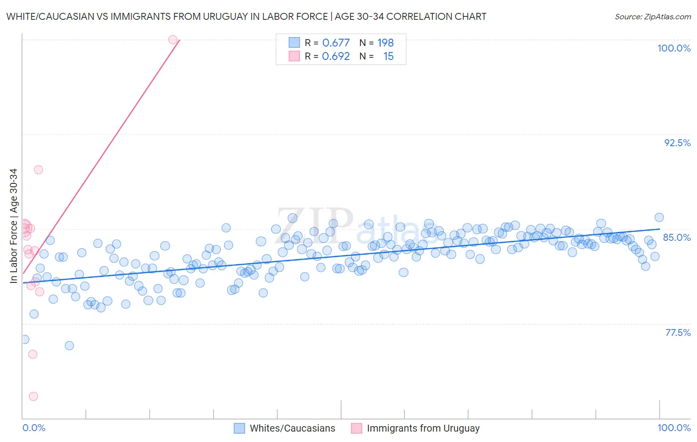 White/Caucasian vs Immigrants from Uruguay In Labor Force | Age 30-34