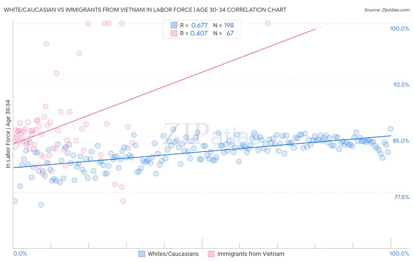 White/Caucasian vs Immigrants from Vietnam In Labor Force | Age 30-34