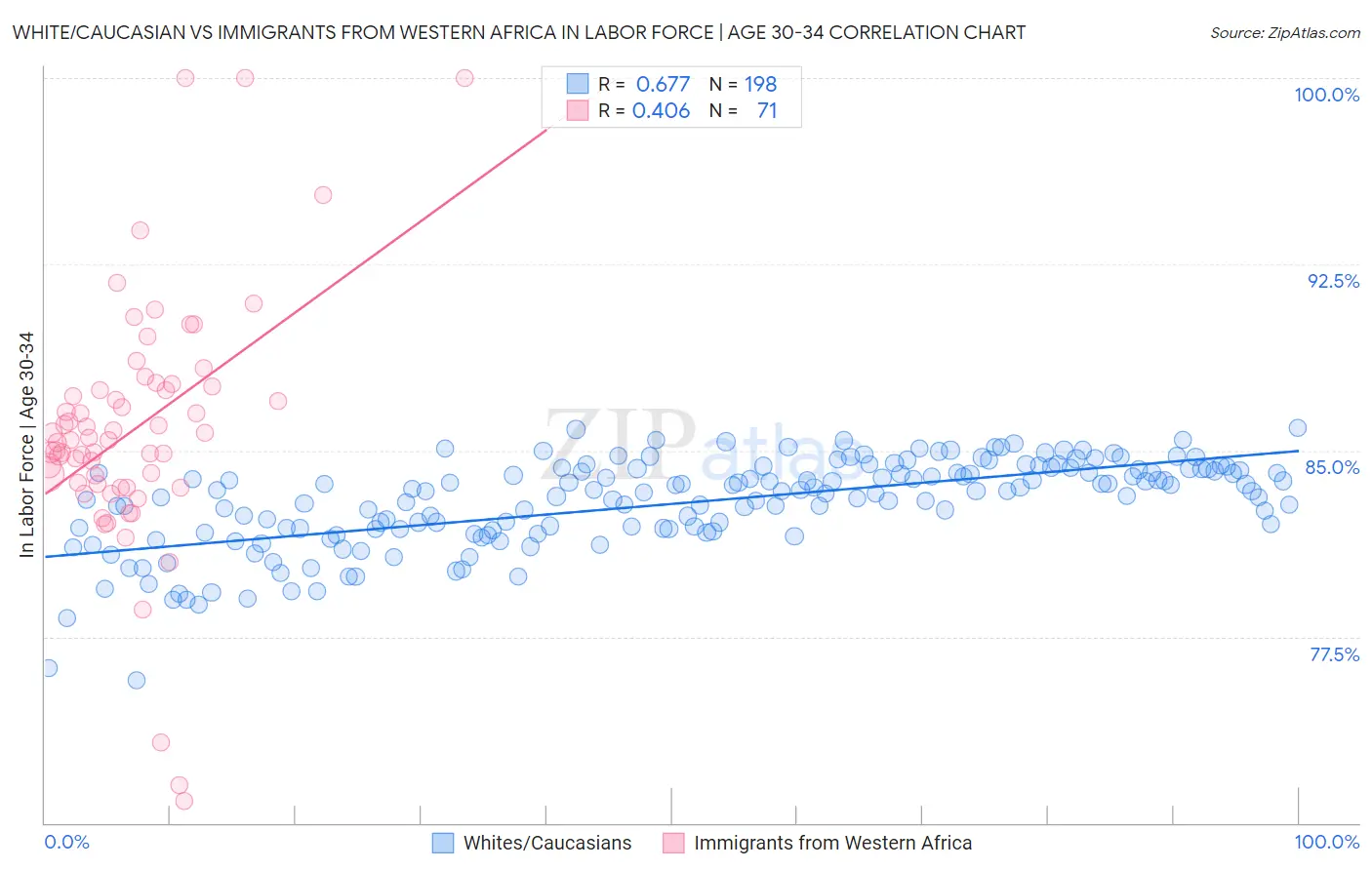 White/Caucasian vs Immigrants from Western Africa In Labor Force | Age 30-34