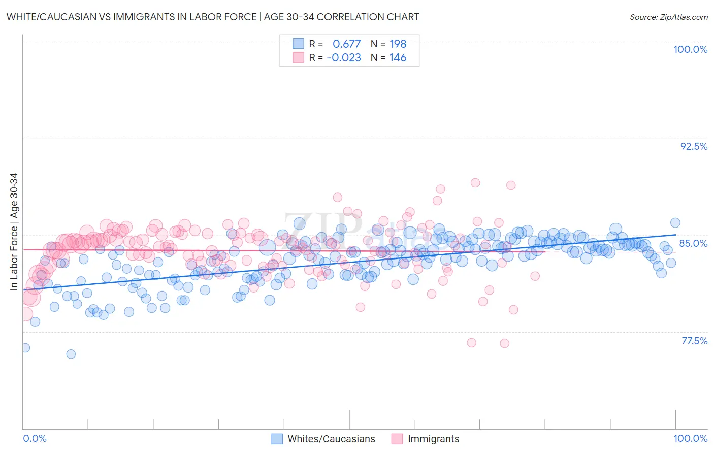 White/Caucasian vs Immigrants In Labor Force | Age 30-34