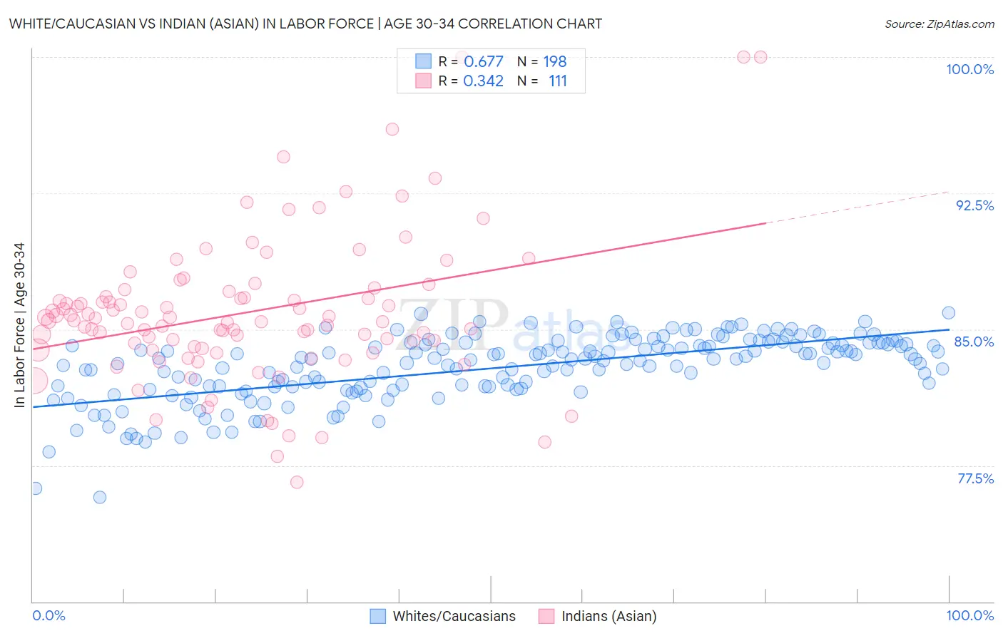 White/Caucasian vs Indian (Asian) In Labor Force | Age 30-34