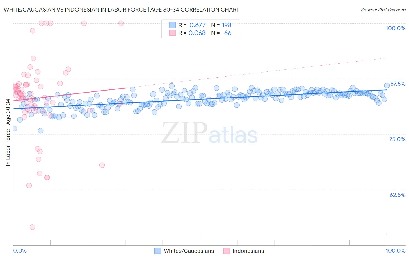 White/Caucasian vs Indonesian In Labor Force | Age 30-34