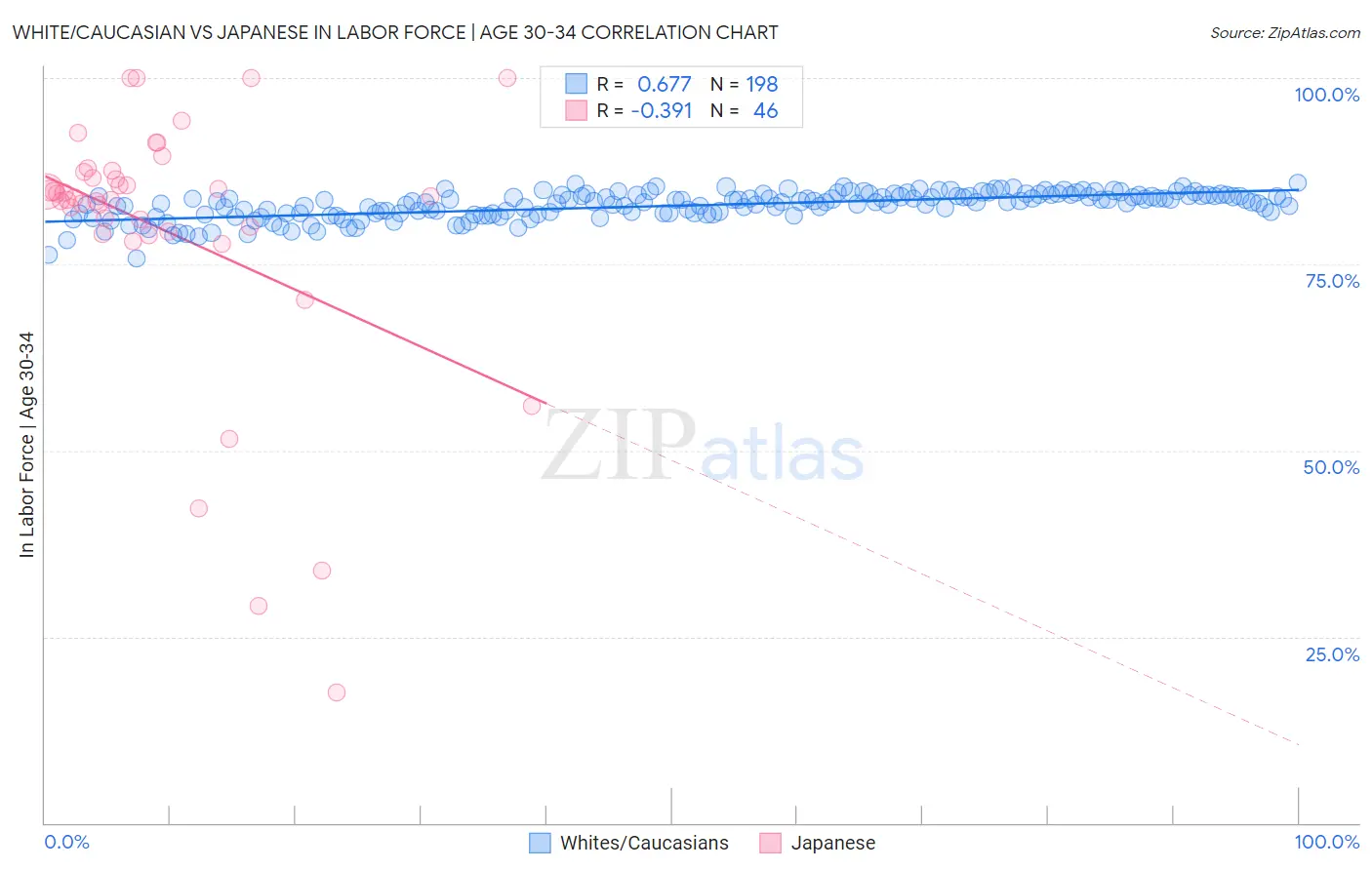 White/Caucasian vs Japanese In Labor Force | Age 30-34
