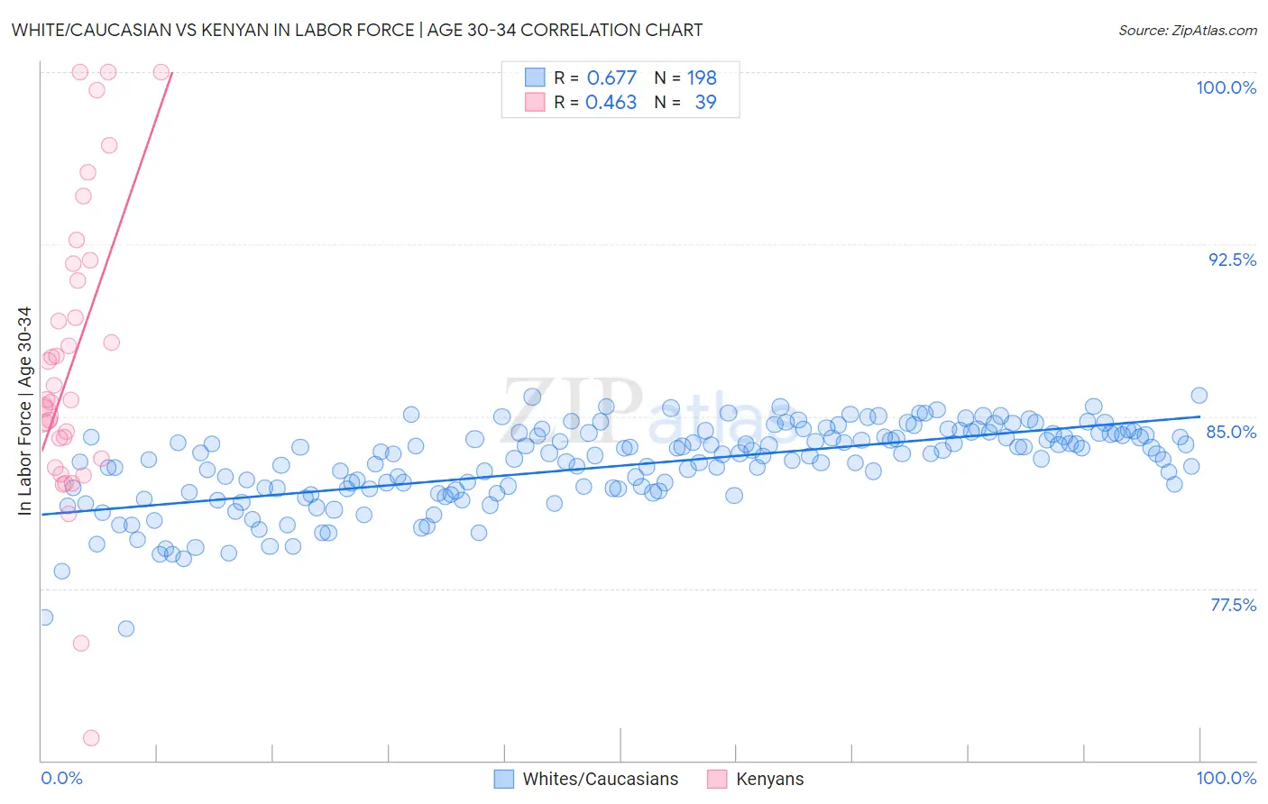 White/Caucasian vs Kenyan In Labor Force | Age 30-34