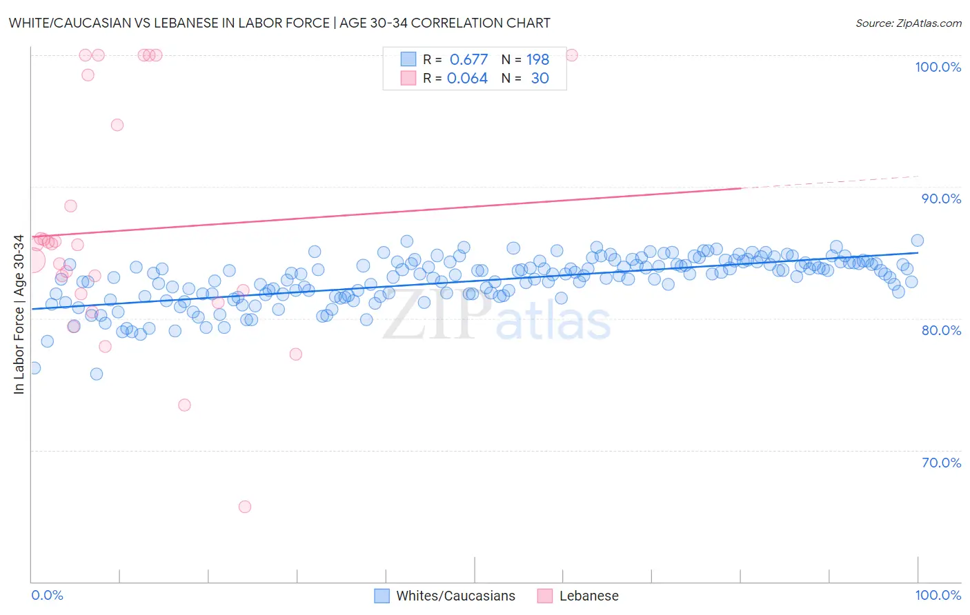 White/Caucasian vs Lebanese In Labor Force | Age 30-34
