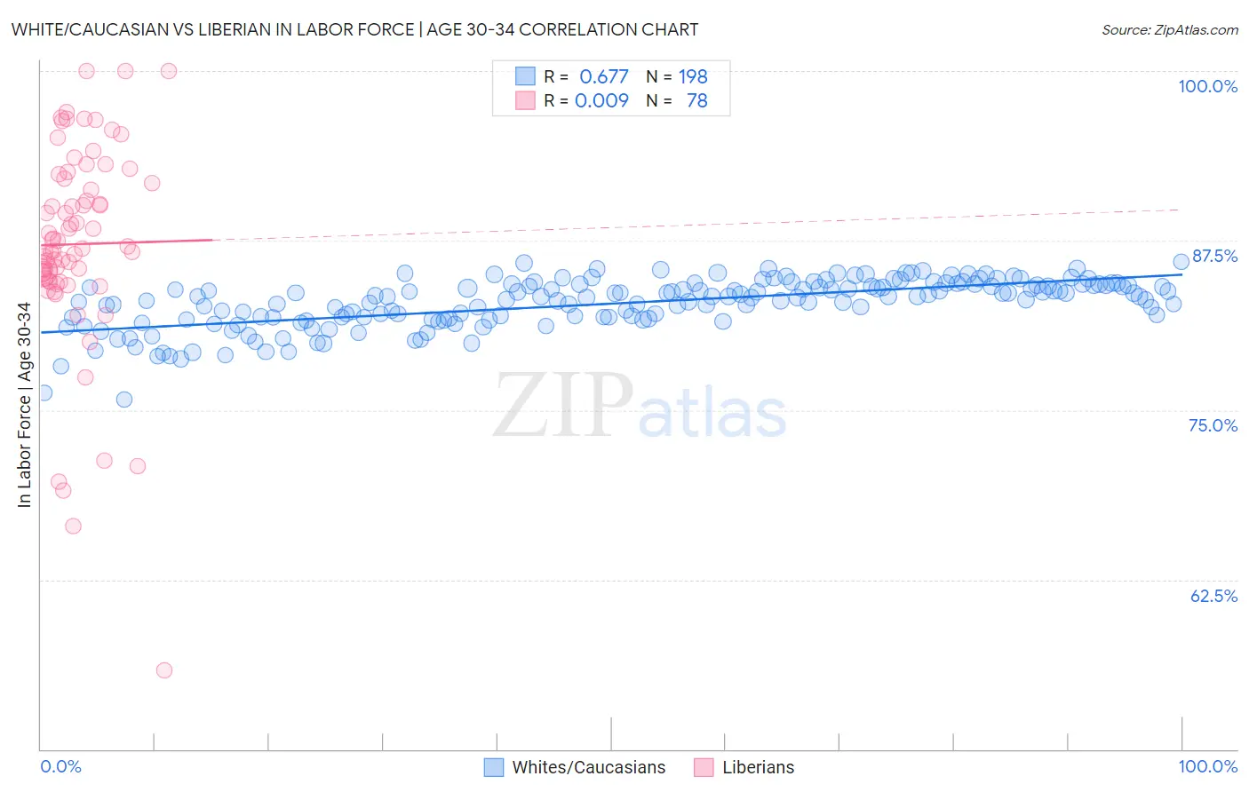 White/Caucasian vs Liberian In Labor Force | Age 30-34
