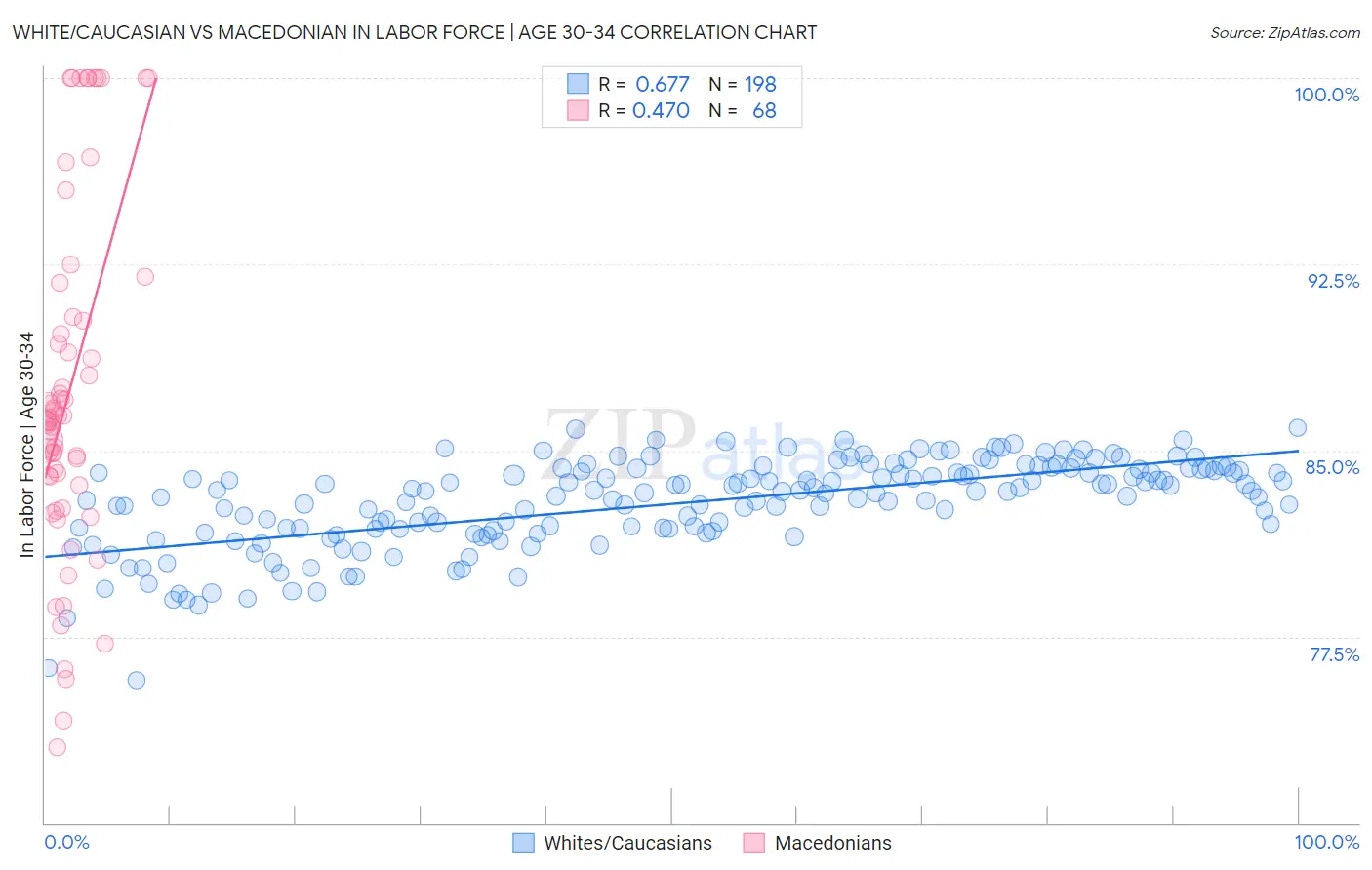 White/Caucasian vs Macedonian In Labor Force | Age 30-34