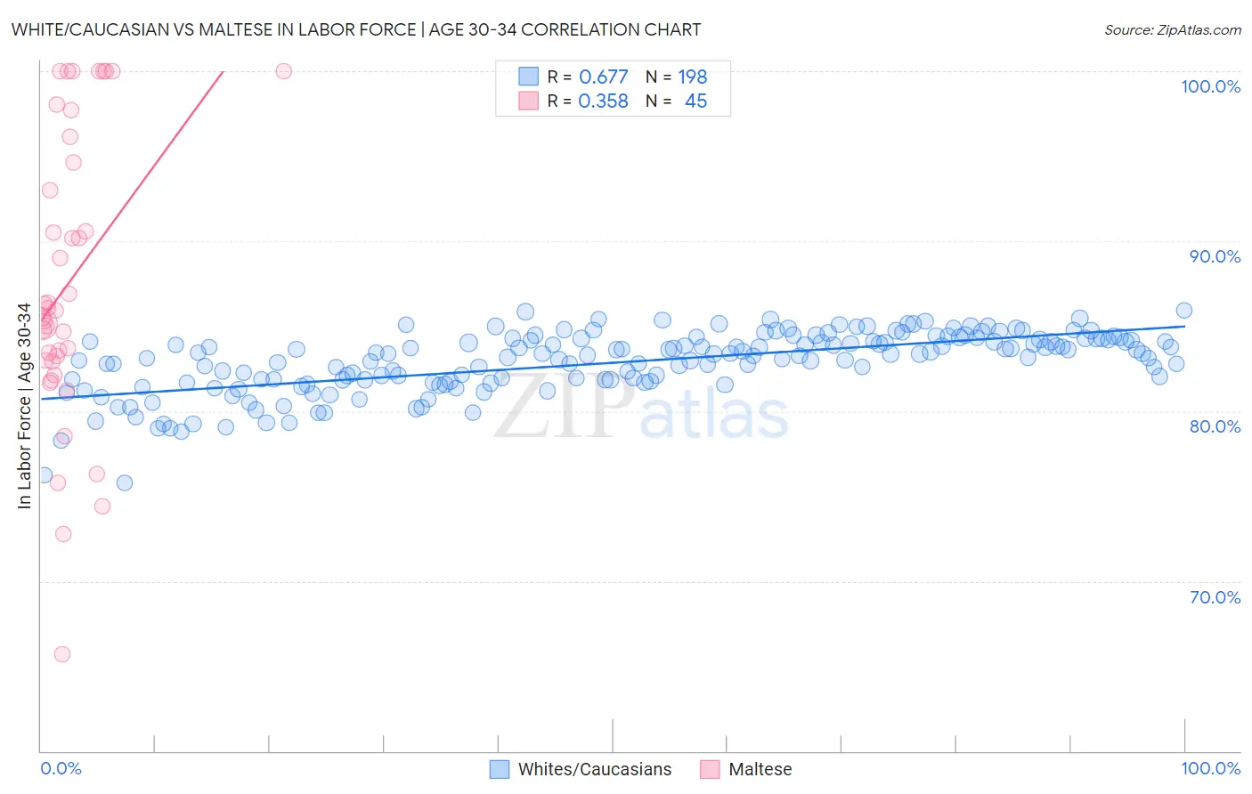 White/Caucasian vs Maltese In Labor Force | Age 30-34