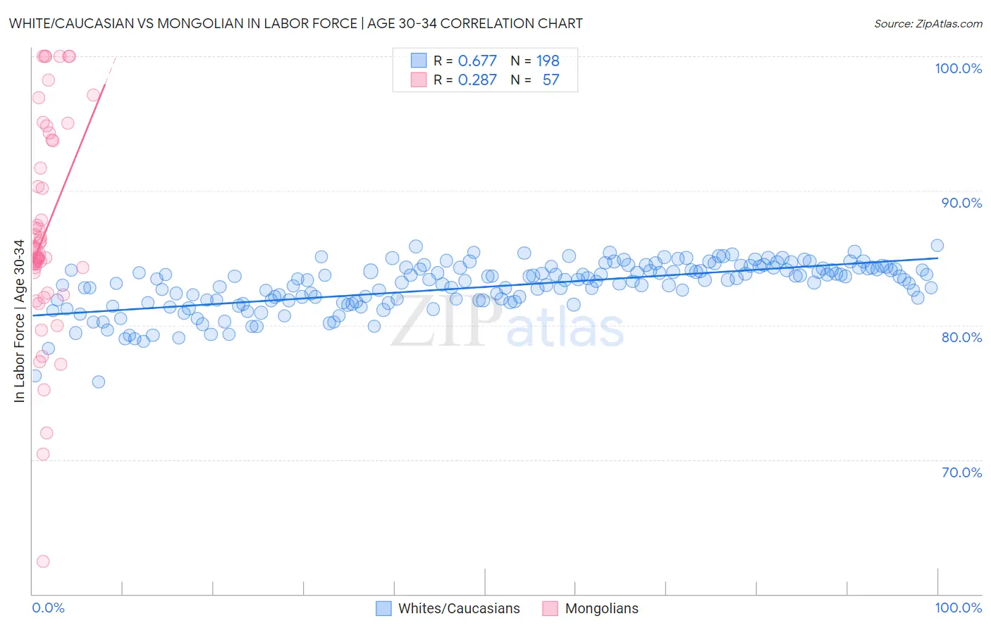 White/Caucasian vs Mongolian In Labor Force | Age 30-34