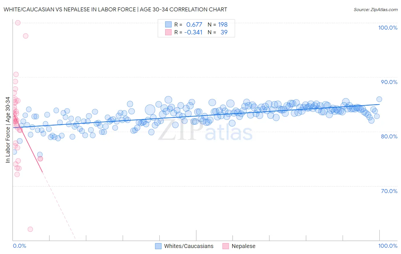 White/Caucasian vs Nepalese In Labor Force | Age 30-34