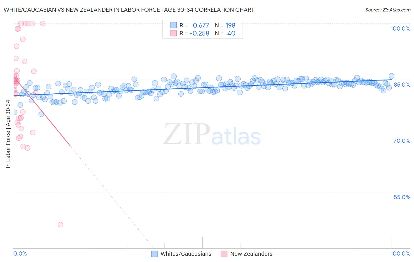 White/Caucasian vs New Zealander In Labor Force | Age 30-34