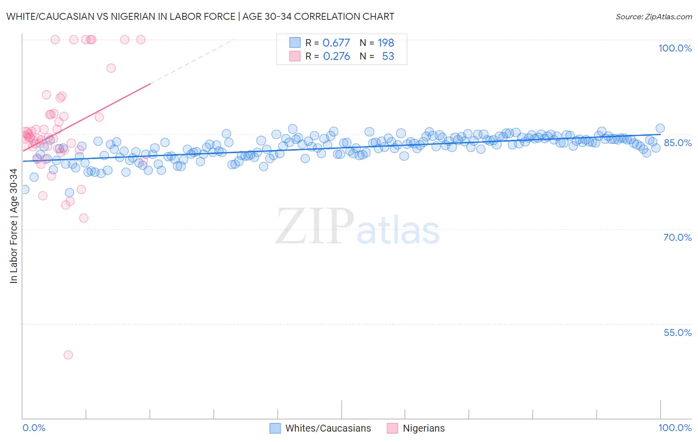 White/Caucasian vs Nigerian In Labor Force | Age 30-34