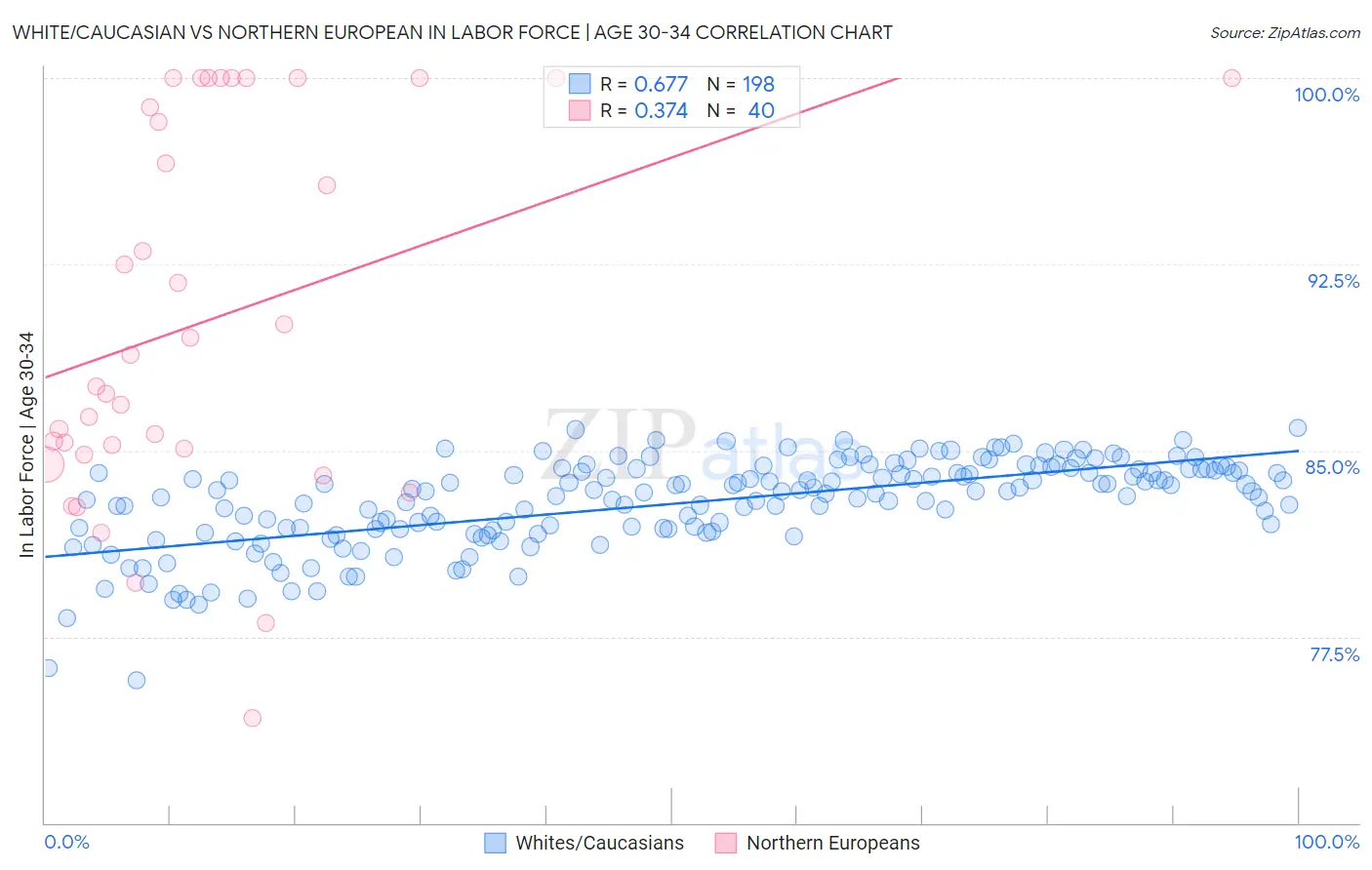White/Caucasian vs Northern European In Labor Force | Age 30-34