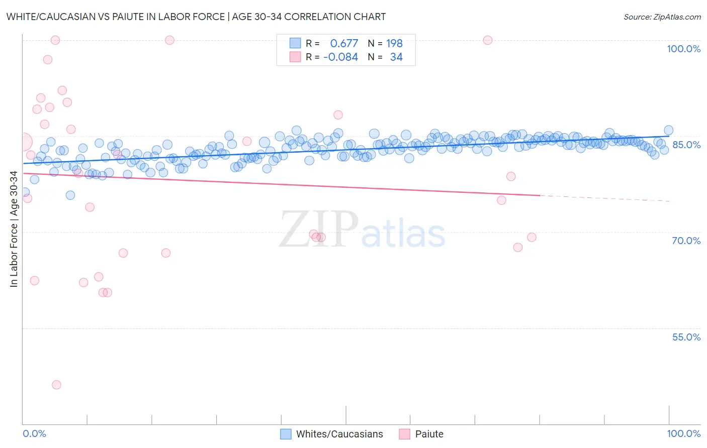 White/Caucasian vs Paiute In Labor Force | Age 30-34
