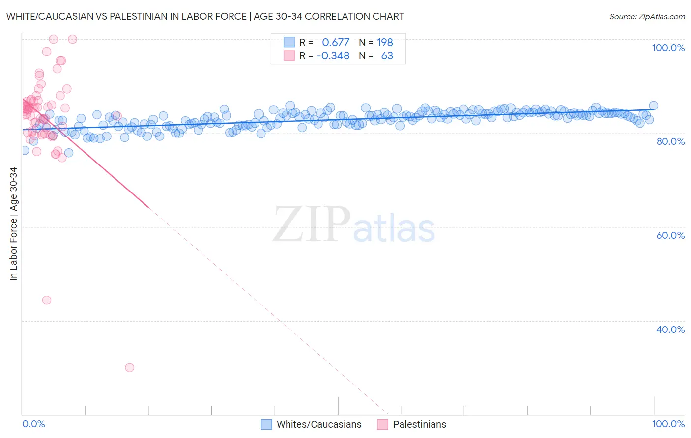 White/Caucasian vs Palestinian In Labor Force | Age 30-34