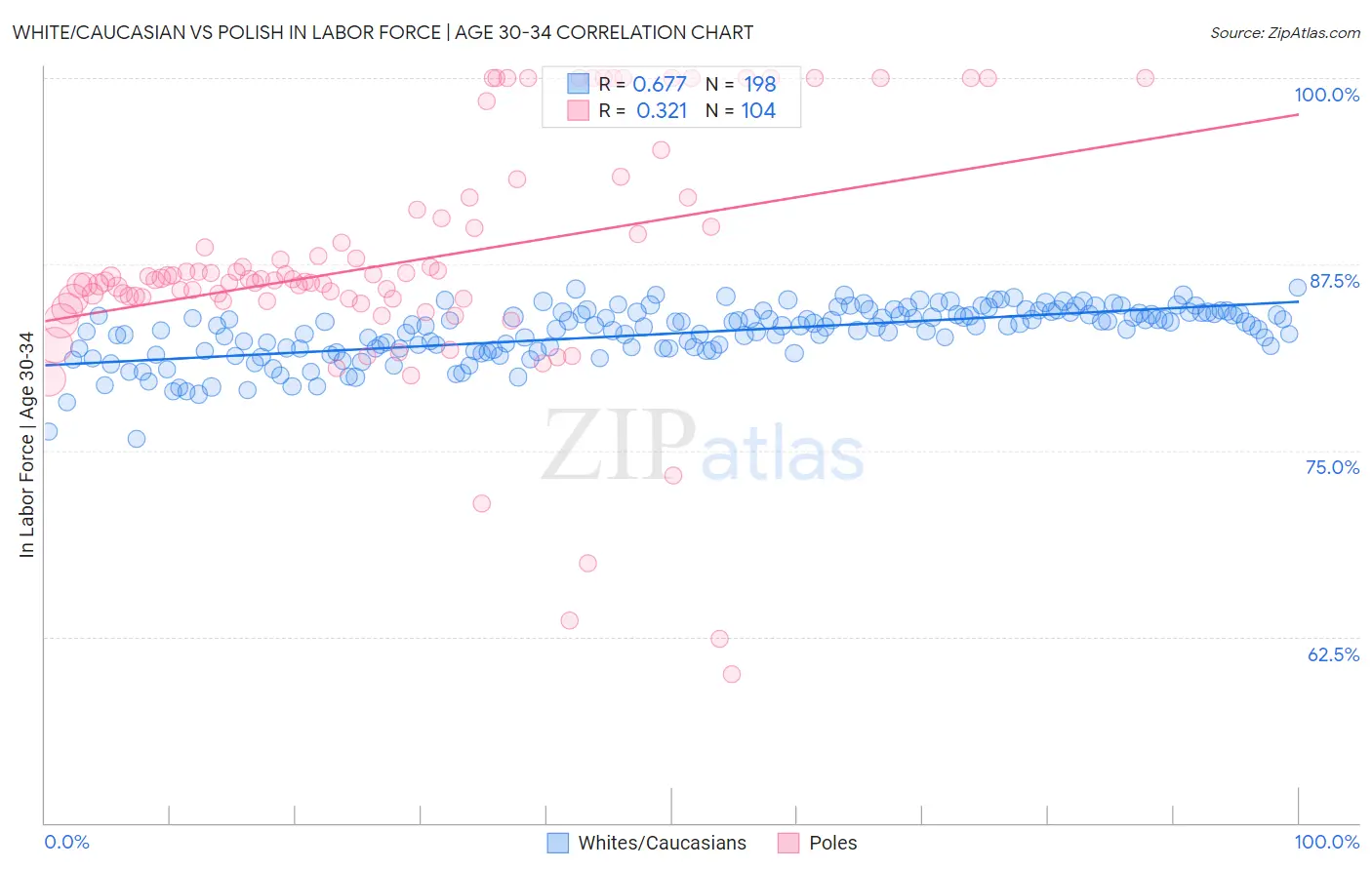 White/Caucasian vs Polish In Labor Force | Age 30-34
