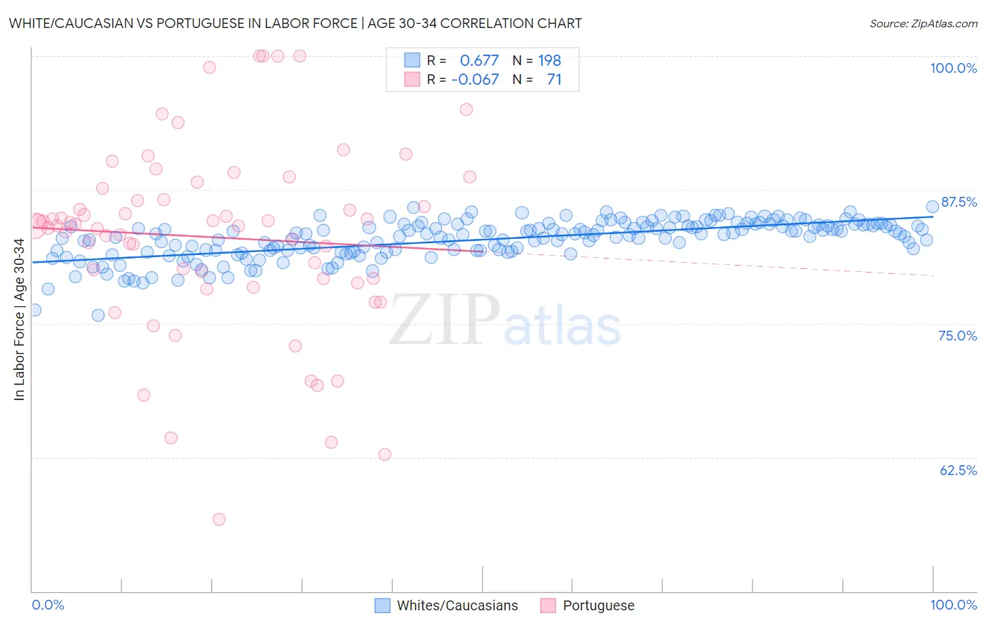 White/Caucasian vs Portuguese In Labor Force | Age 30-34