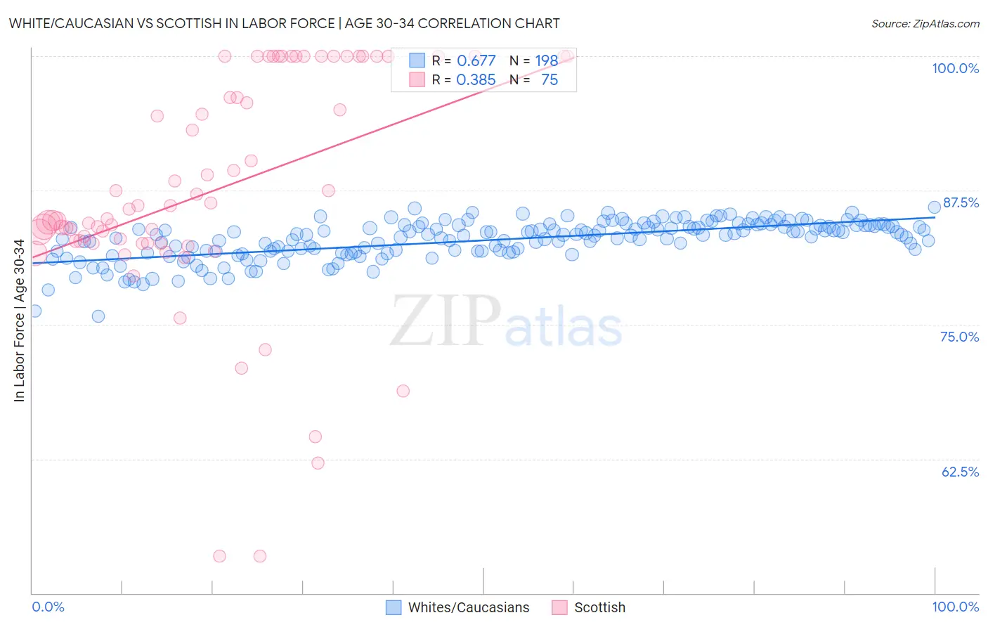 White/Caucasian vs Scottish In Labor Force | Age 30-34