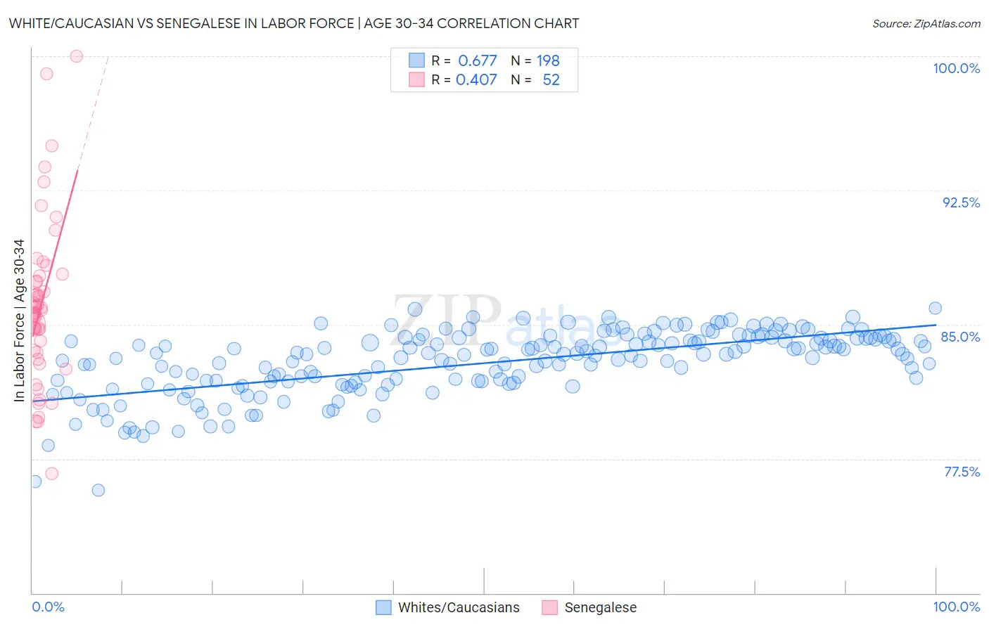White/Caucasian vs Senegalese In Labor Force | Age 30-34