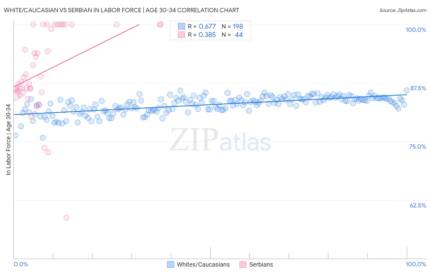 White/Caucasian vs Serbian In Labor Force | Age 30-34
