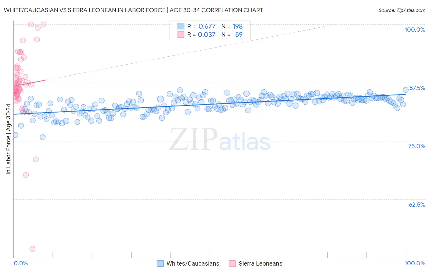 White/Caucasian vs Sierra Leonean In Labor Force | Age 30-34