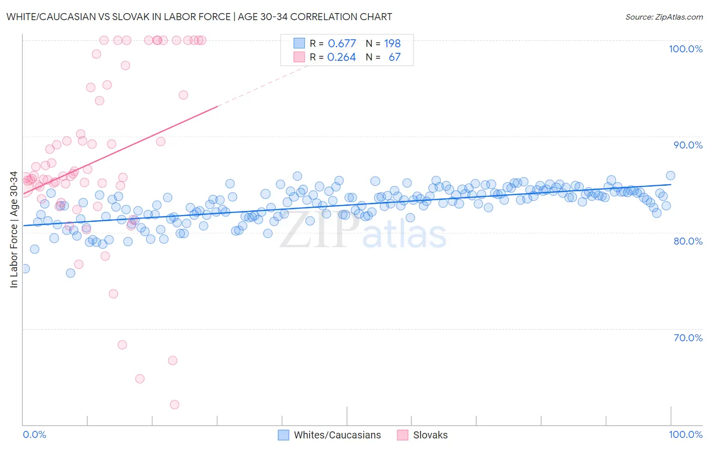 White/Caucasian vs Slovak In Labor Force | Age 30-34