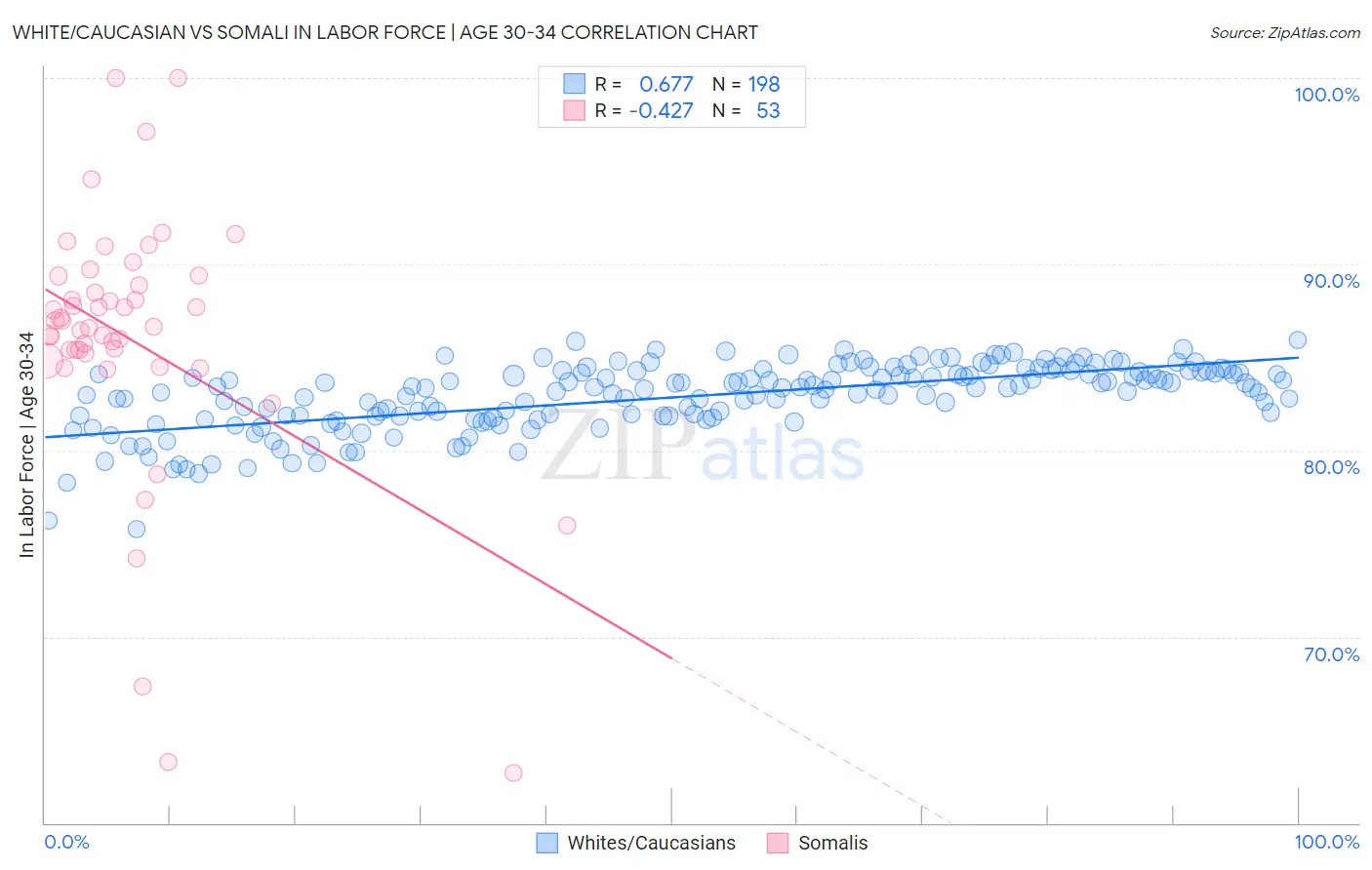 White/Caucasian vs Somali In Labor Force | Age 30-34