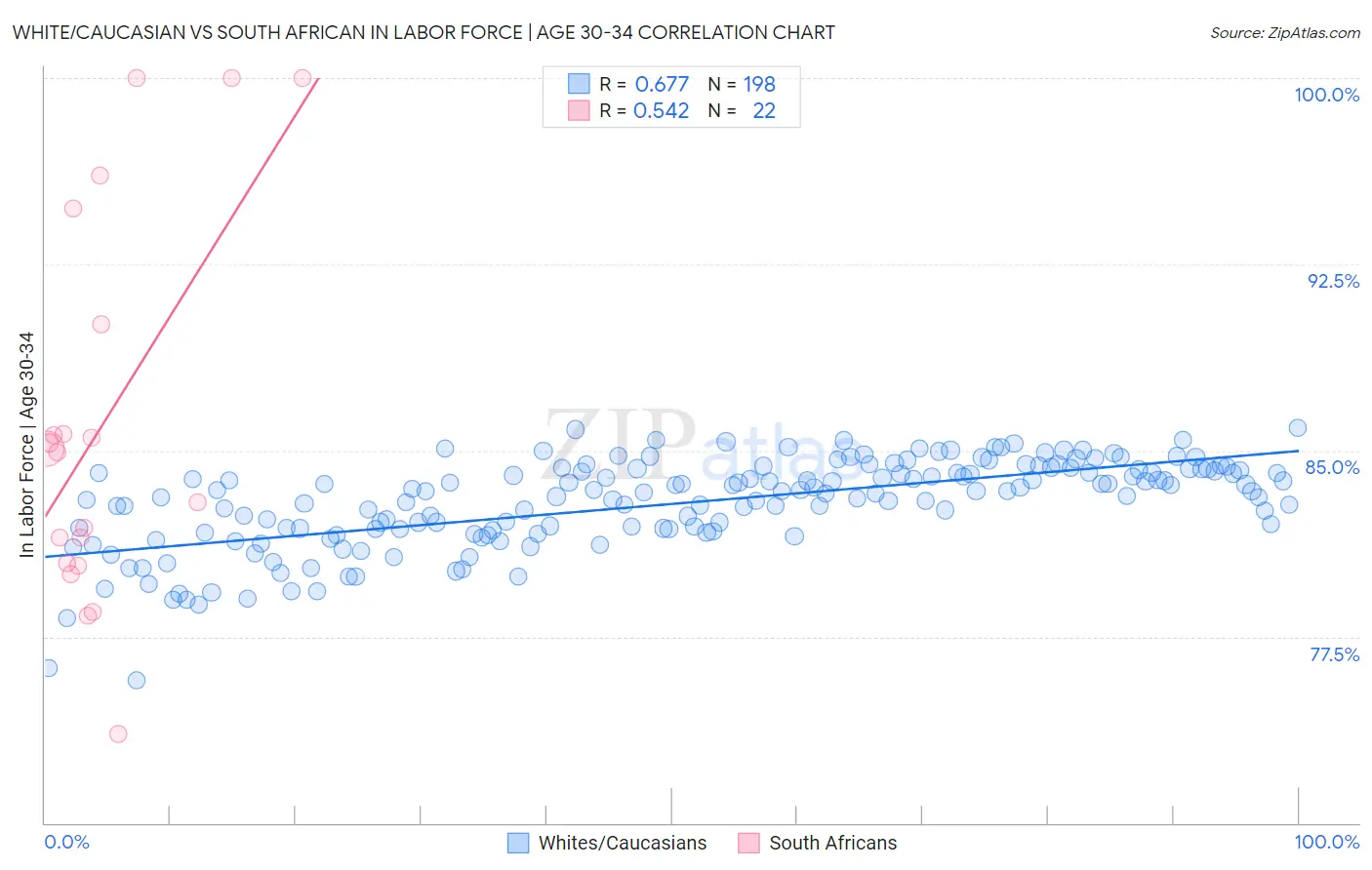 White/Caucasian vs South African In Labor Force | Age 30-34
