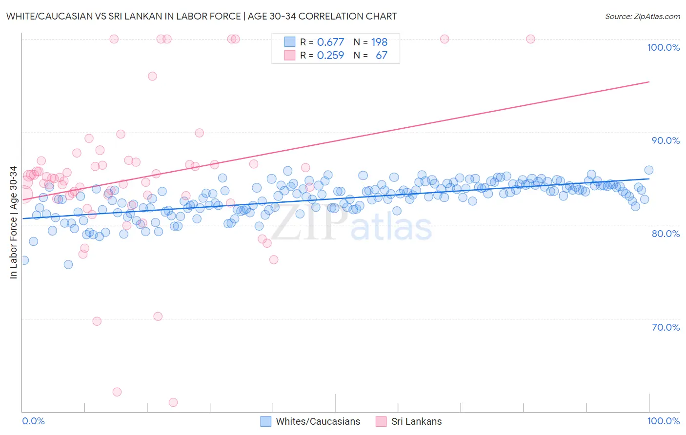 White/Caucasian vs Sri Lankan In Labor Force | Age 30-34