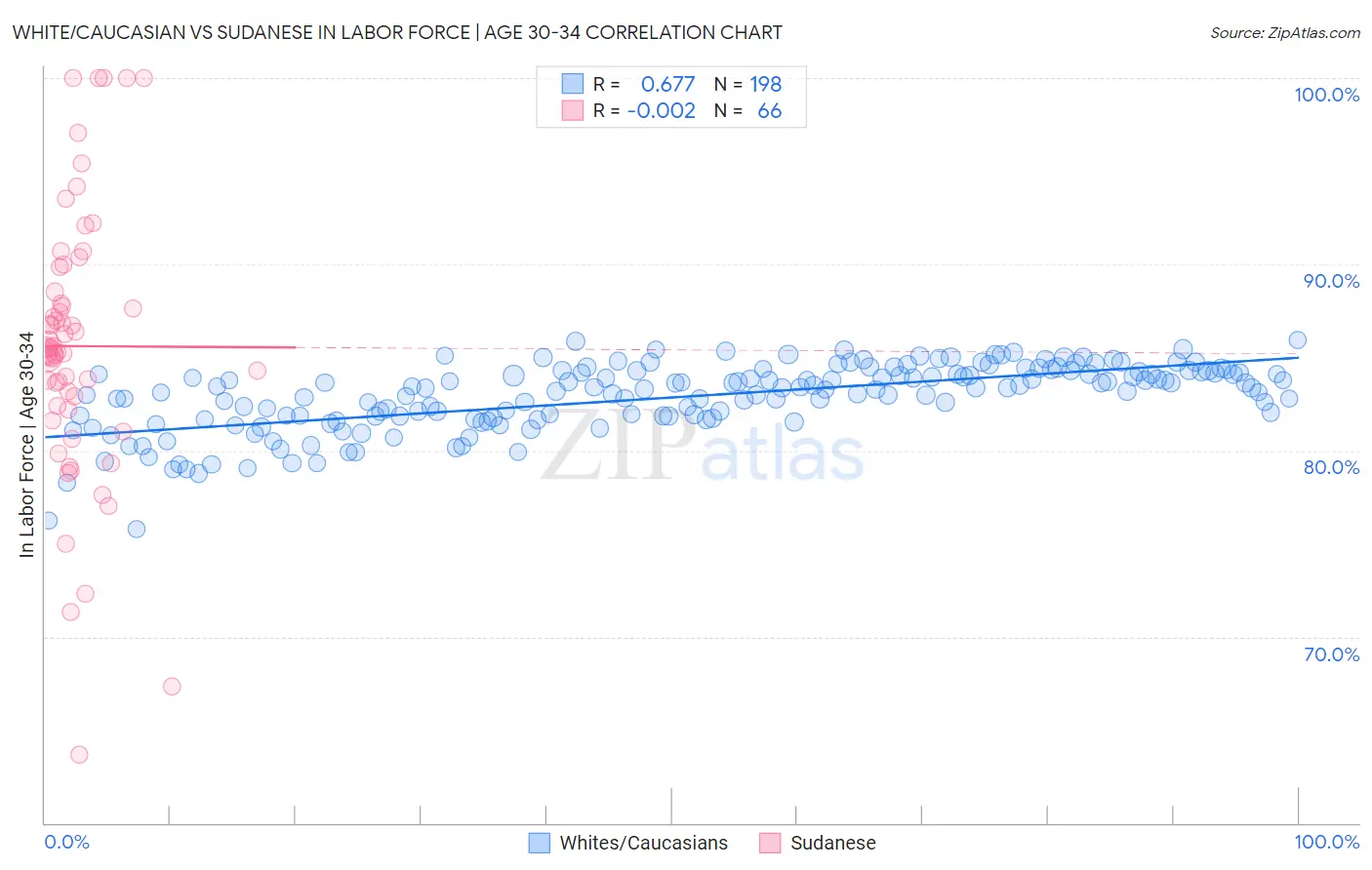 White/Caucasian vs Sudanese In Labor Force | Age 30-34