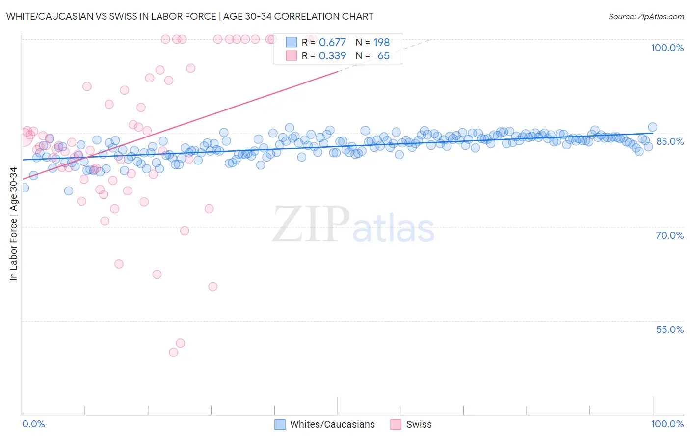 White/Caucasian vs Swiss In Labor Force | Age 30-34