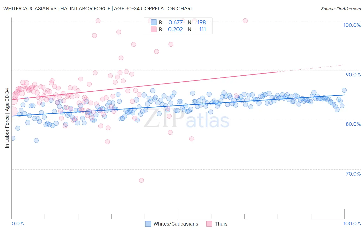 White/Caucasian vs Thai In Labor Force | Age 30-34