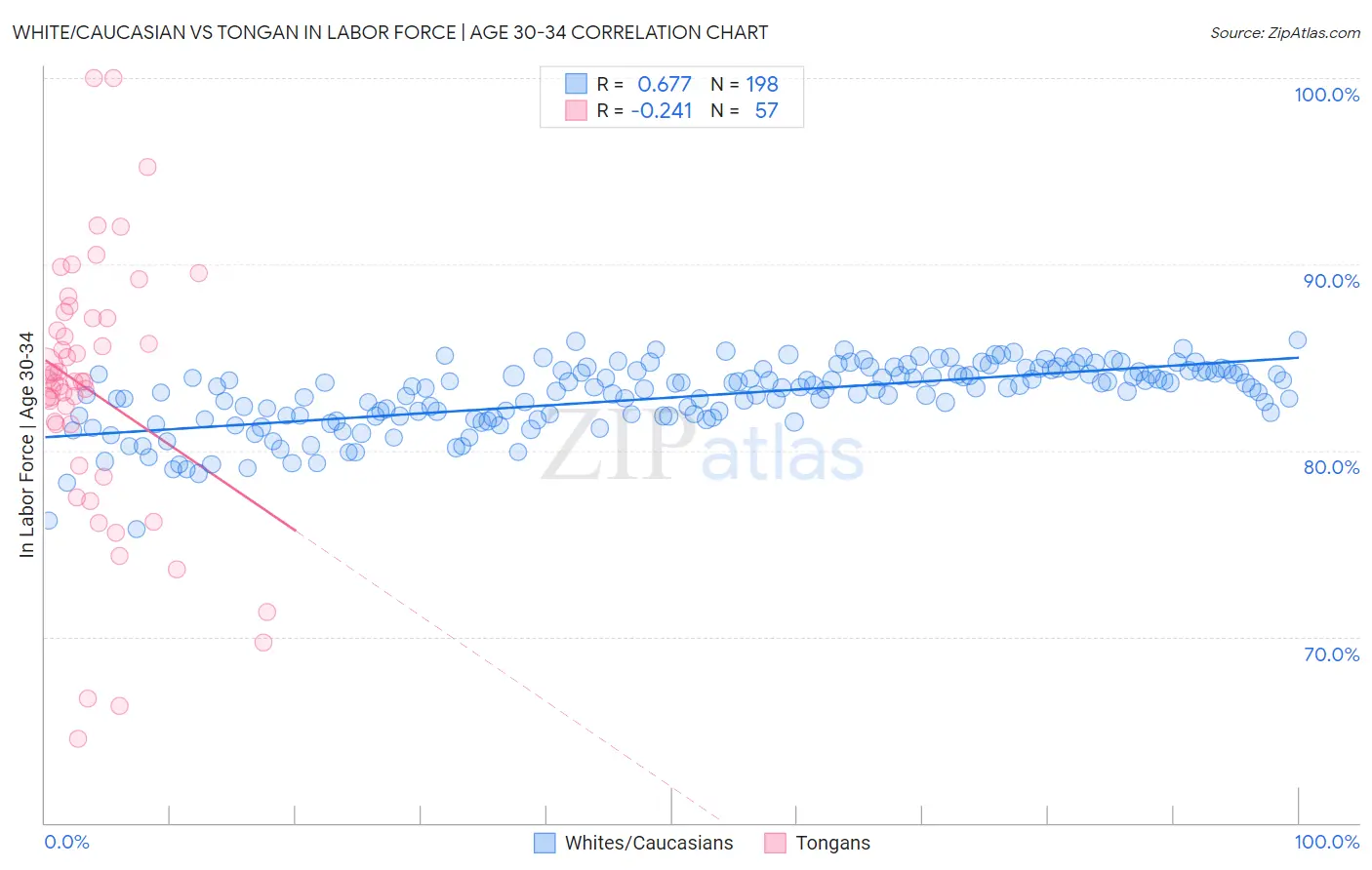 White/Caucasian vs Tongan In Labor Force | Age 30-34