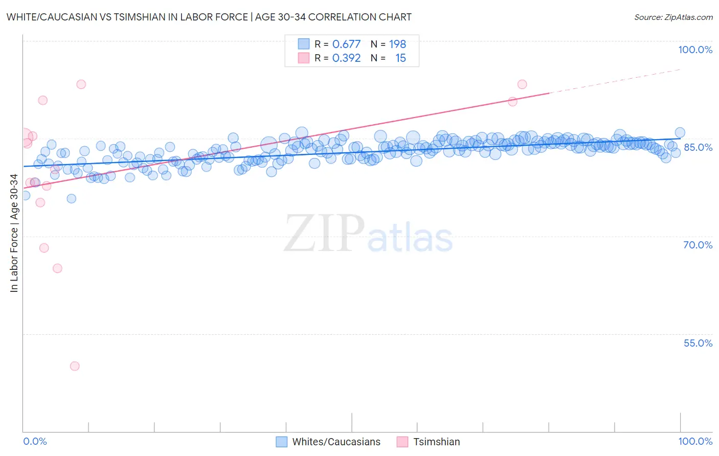 White/Caucasian vs Tsimshian In Labor Force | Age 30-34