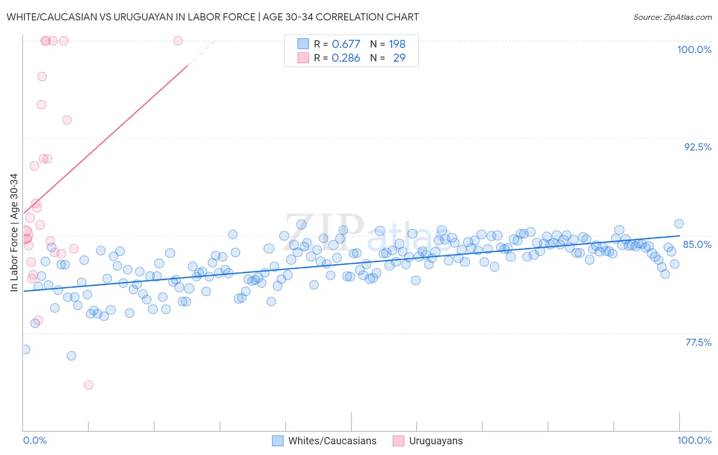 White/Caucasian vs Uruguayan In Labor Force | Age 30-34