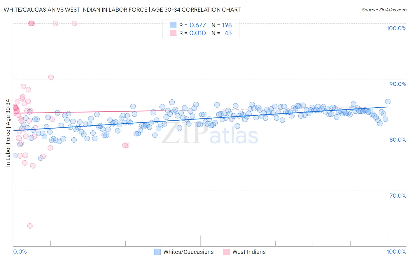 White/Caucasian vs West Indian In Labor Force | Age 30-34