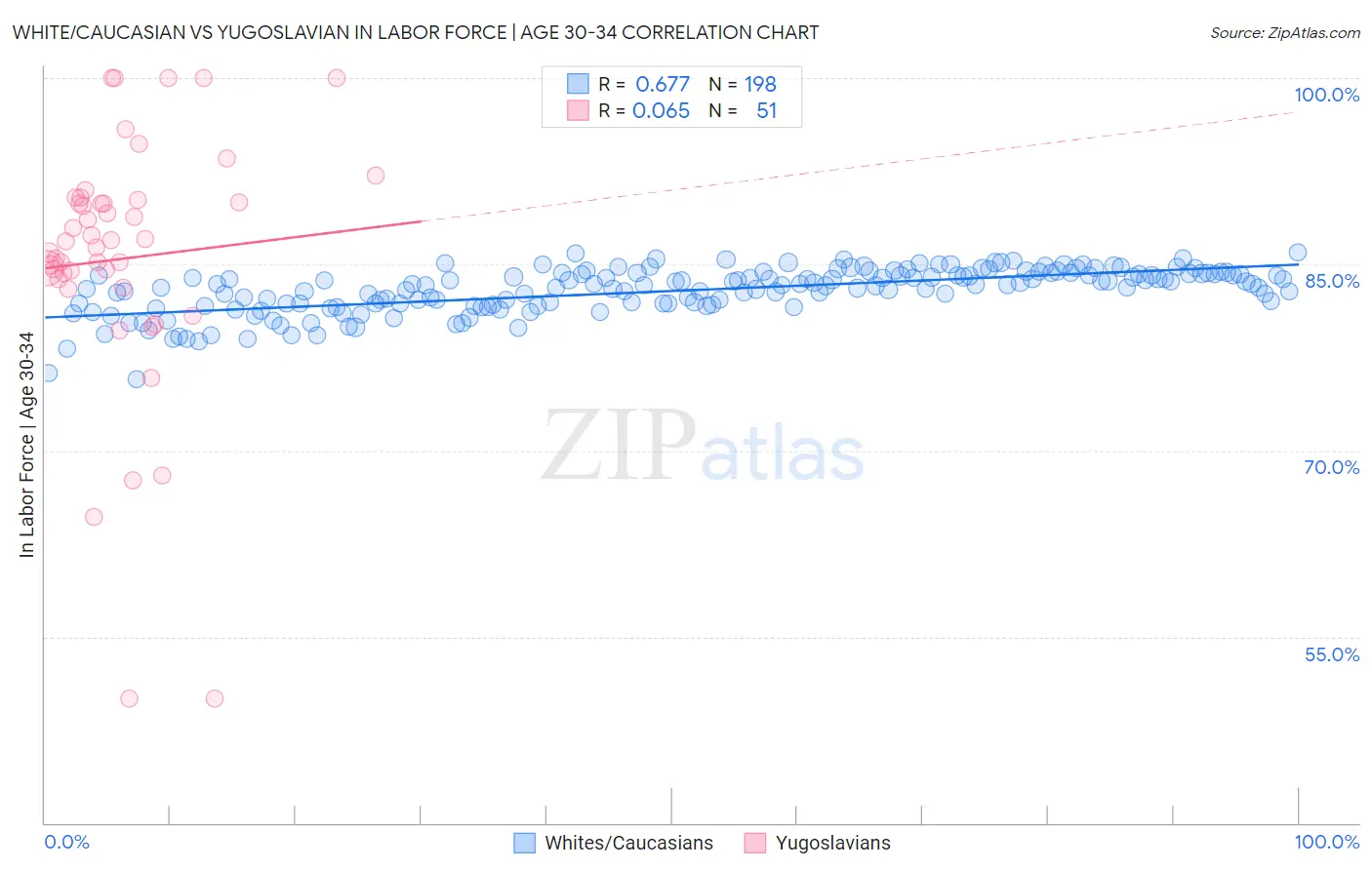 White/Caucasian vs Yugoslavian In Labor Force | Age 30-34