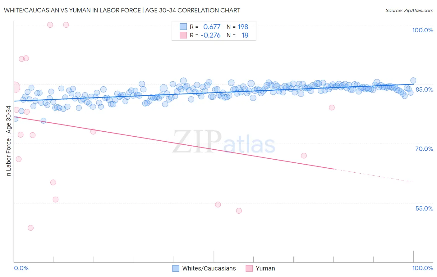 White/Caucasian vs Yuman In Labor Force | Age 30-34