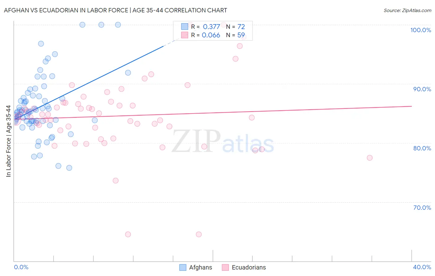 Afghan vs Ecuadorian In Labor Force | Age 35-44