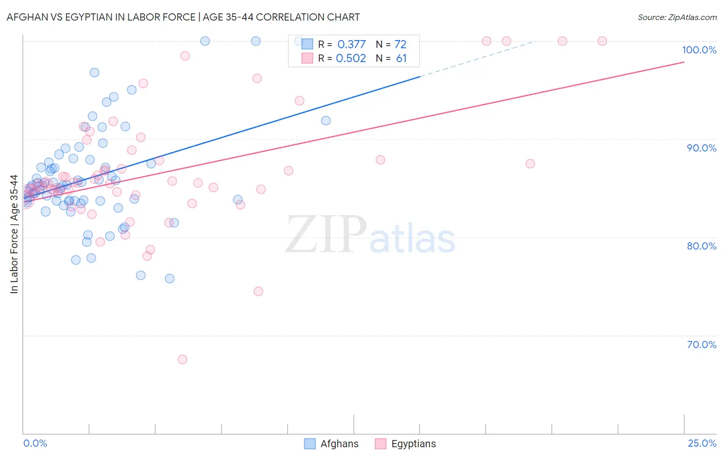 Afghan vs Egyptian In Labor Force | Age 35-44