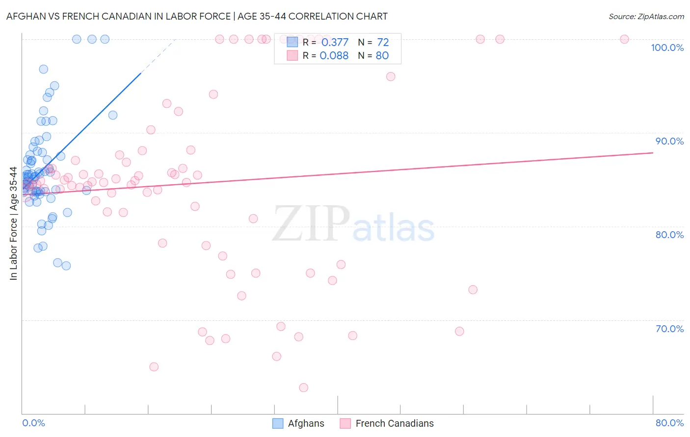 Afghan vs French Canadian In Labor Force | Age 35-44