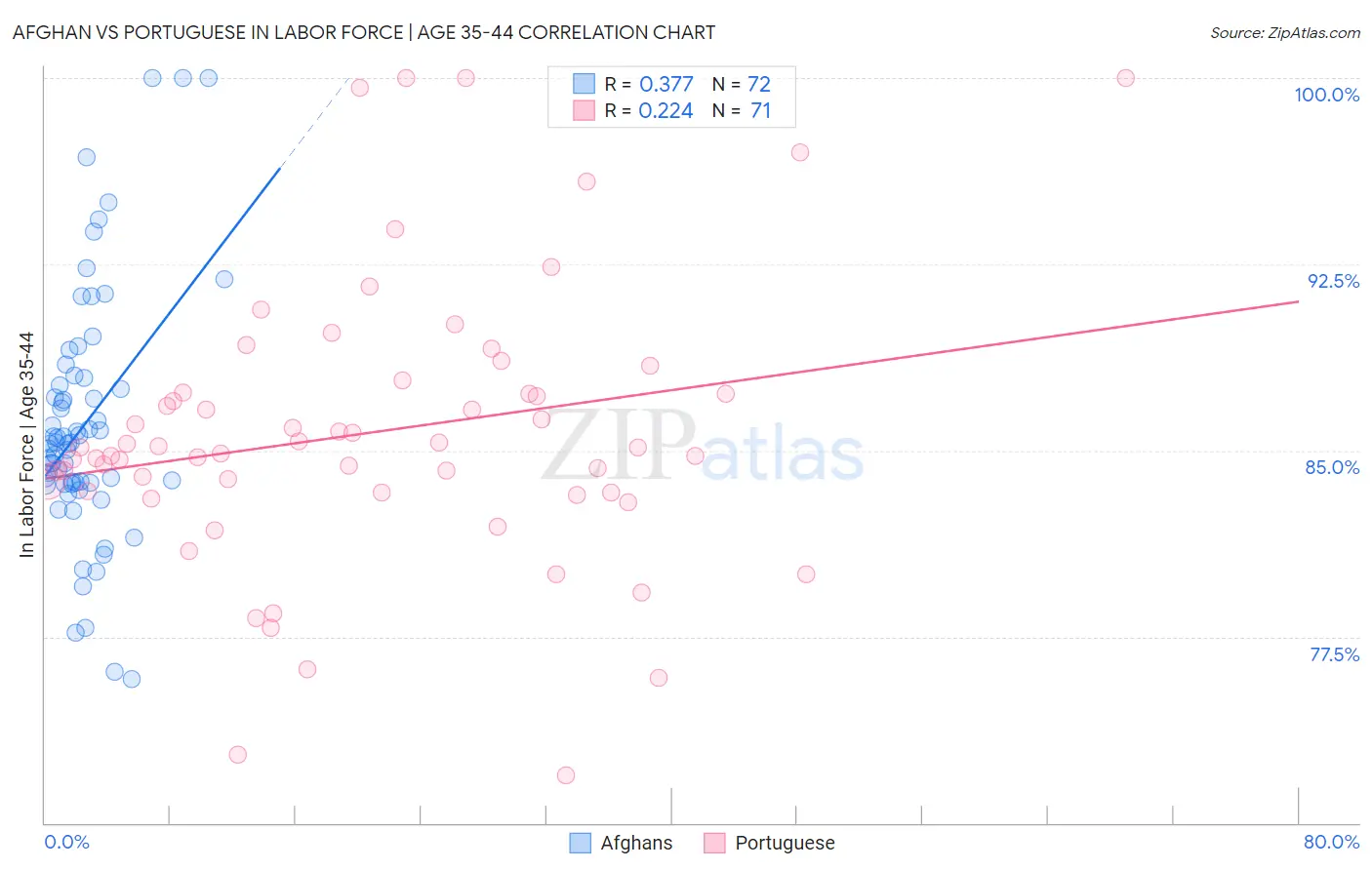 Afghan vs Portuguese In Labor Force | Age 35-44