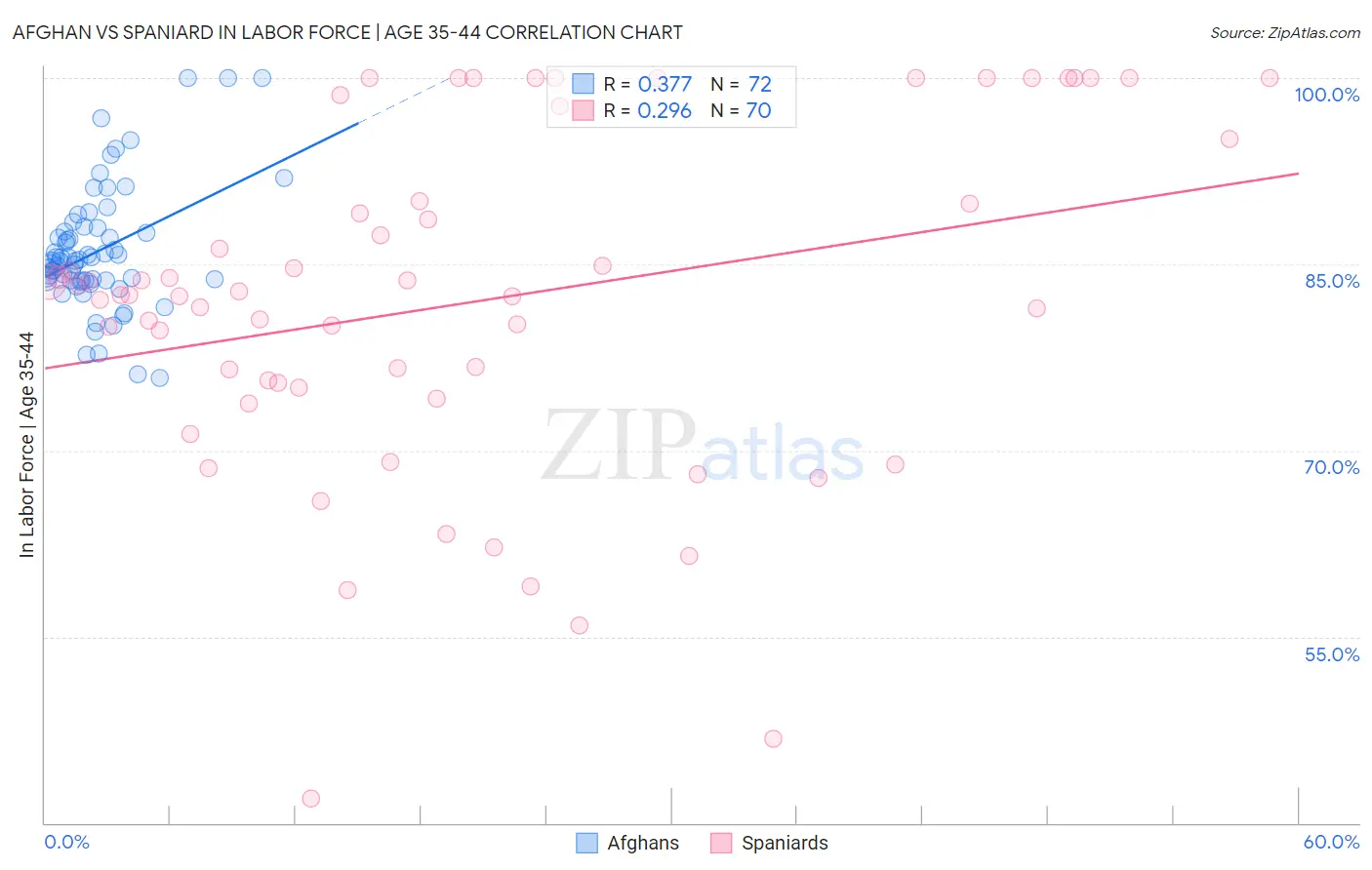 Afghan vs Spaniard In Labor Force | Age 35-44